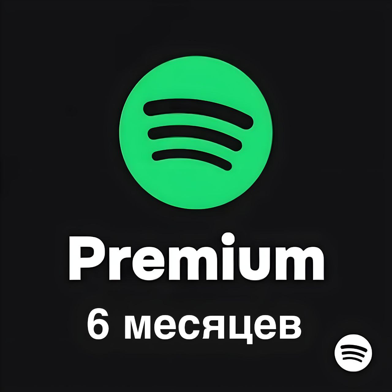 Spotify Премиум 6 мес MY