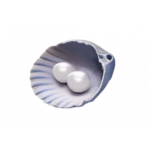 Where Winds Meet 60 Echo Beads