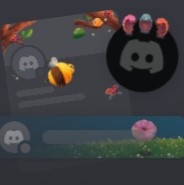 Discord Набор "Мокрица"