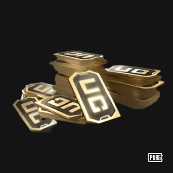 PUBG: Battlegrounds 510 G-COIN